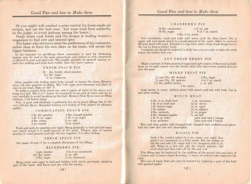 Formulas for Fillings