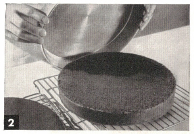 Let Cake Cool In Pan