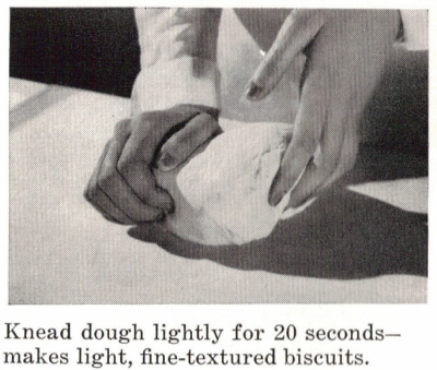 Knead Dough Lightly