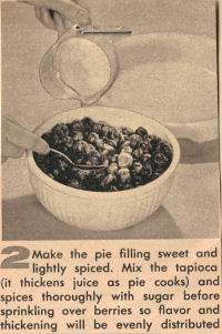 Blueberry Pie Lemon Pastry Recipe Clipping