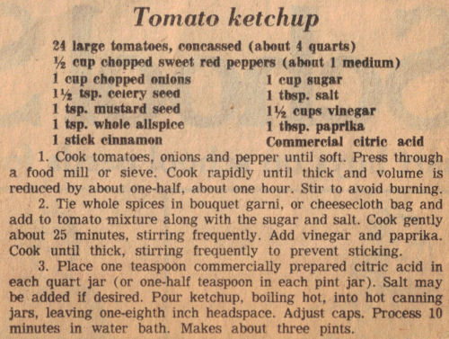 Homemade Tomato Ketchup Recipe Clipping