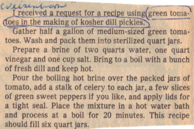 Kosher Dill Pickles Recipe Made With Green Tomatoes